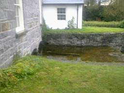 millstreet 10280.jpg